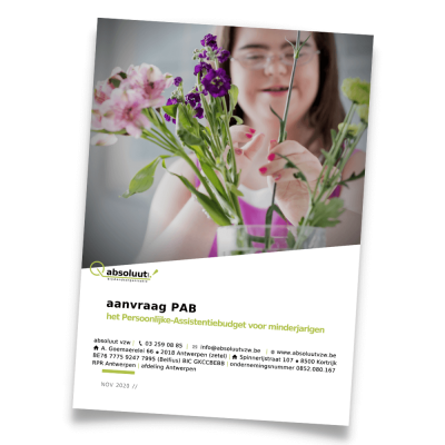 Publicaties website brochure Aanvraag PAB